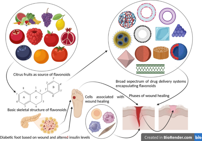 can i take glutathione while taking doxycycline Unlocking the potential of flavonoid-infused drug delivery systems for  diabetic wound healing with a mechanistic exploration |  Inflammopharmacology