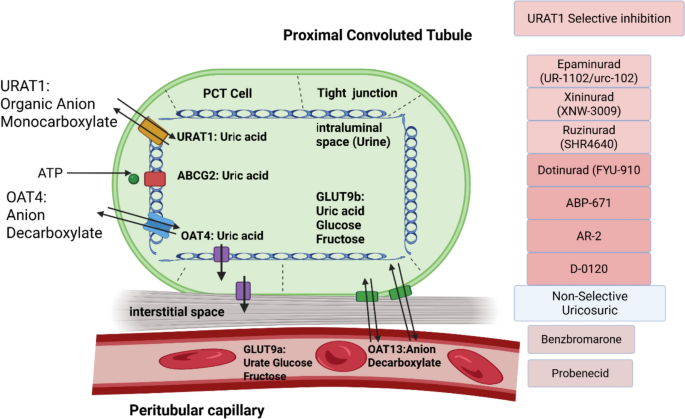 glutathione peroxidase kit cayman picking an oxidative damage assay | News & Announcements