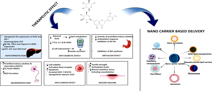 glutathione sr side effects Hesperidin: a bioflavonoid with broad therapeutic promise |  Inflammopharmacology
