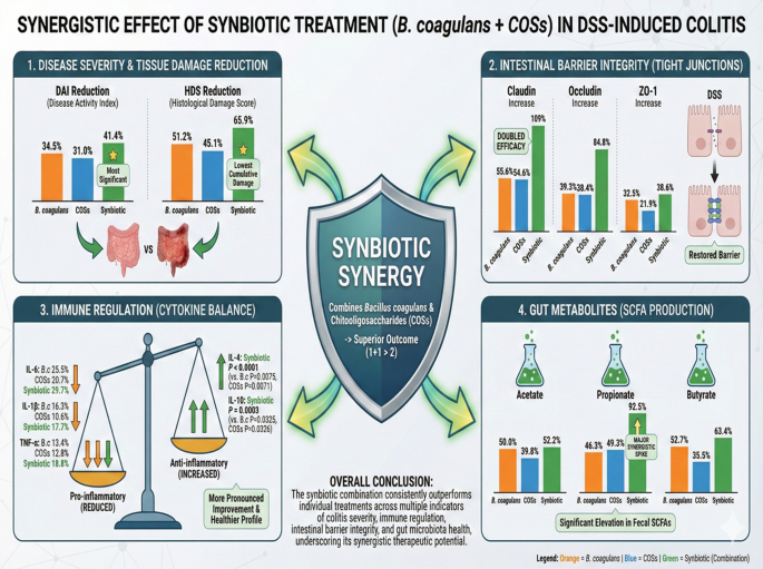 Synergistic synbiotic therapies for ulcerative colitis: mechanistic insights from multi-targeted pathways in animal models