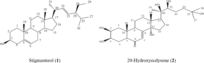 Atriplex portulacoides L. derived phytochemicals mitigate acetic acid induced colitis in rats via orchestrating Nrf2/Keap1 signalling and LncRNAs gene expression