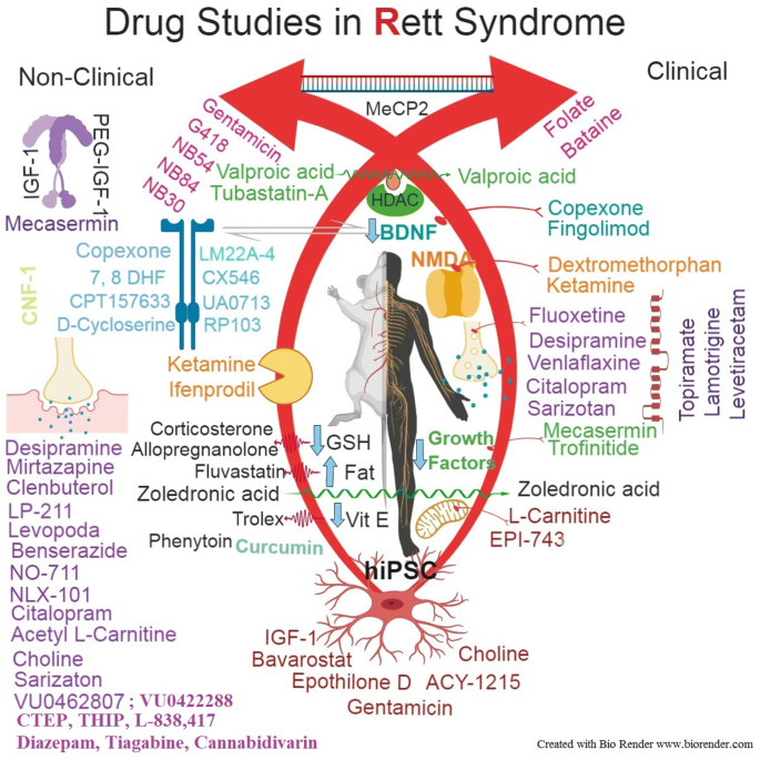 l-carnitine rett syndrome Alterations in the carnitine cycle in a mouse model of Carnitine Transporter Deficiency 