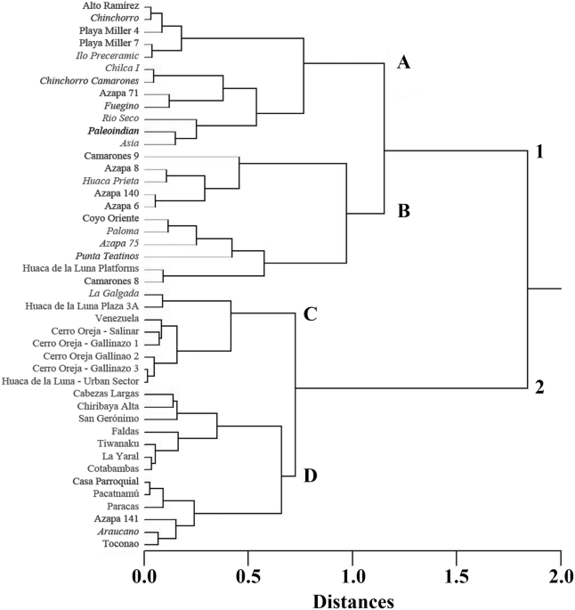Morphometric affinities and direct radiocarbon dating of the Toca