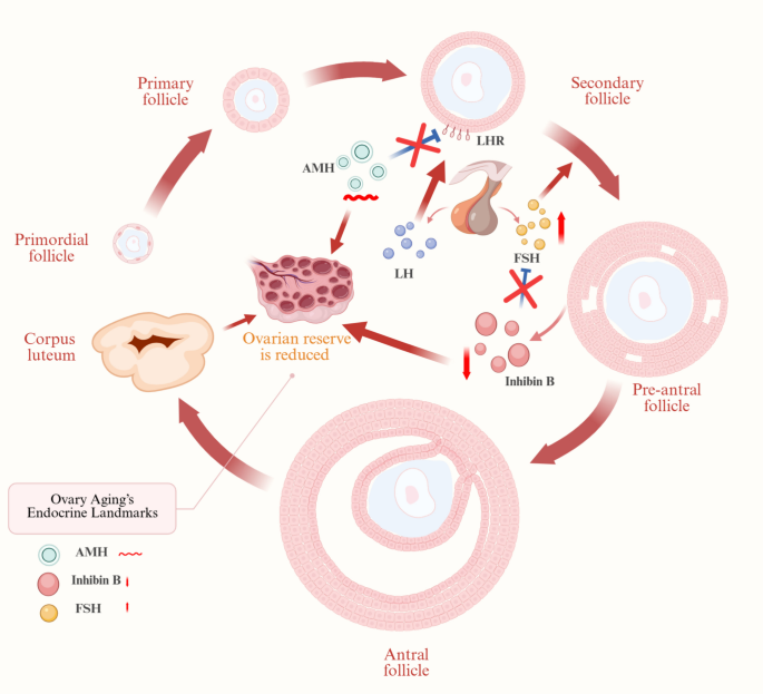 can glutathione cause irregular periods Adverse Effects of Pesticides on the Ovary: Evidence from Epidemiological and Toxicological Studies The roles of RNA-binding proteins