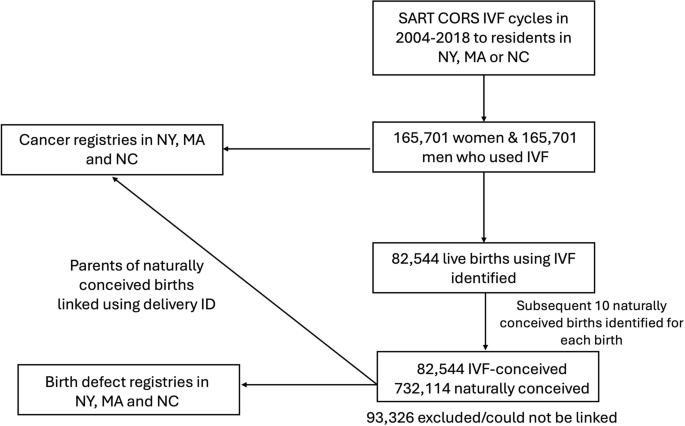 Joint effects of IVF and cancer history on birth outcomes