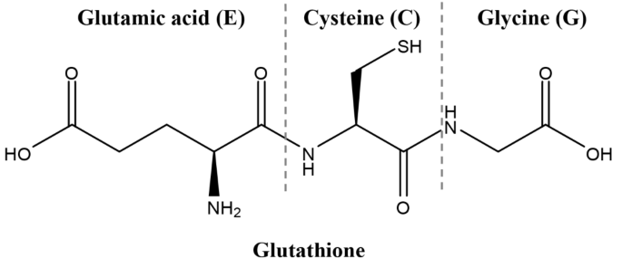 l glutathione daily dosage L-Glutathione (Reduced), 500 mg, 120 Veggie Capsules l glutathione daily dosage L-Glutathione (Reduced), 500 mg, 120 Veggie Capsules