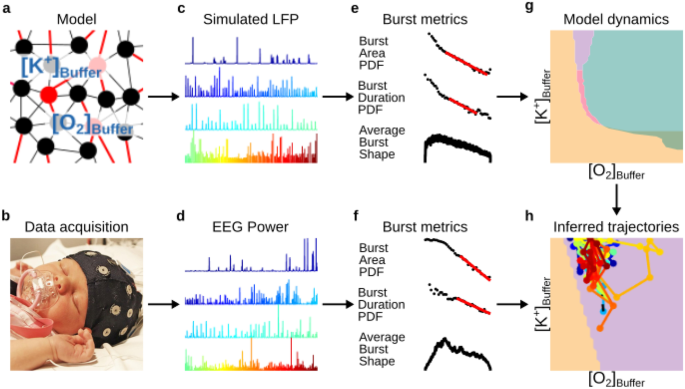 Grand average of event-related potentials recorded in the NMM and NM