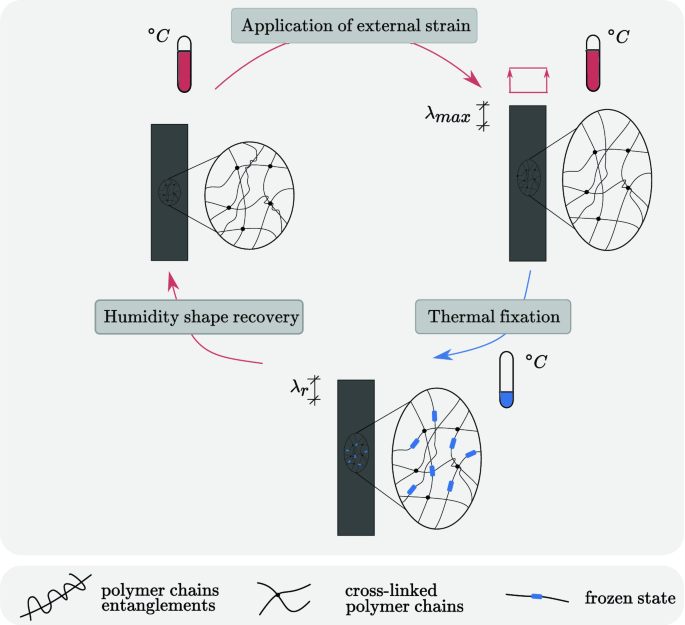 Humidity as a Use Condition for Accelerated Aging of Polymers