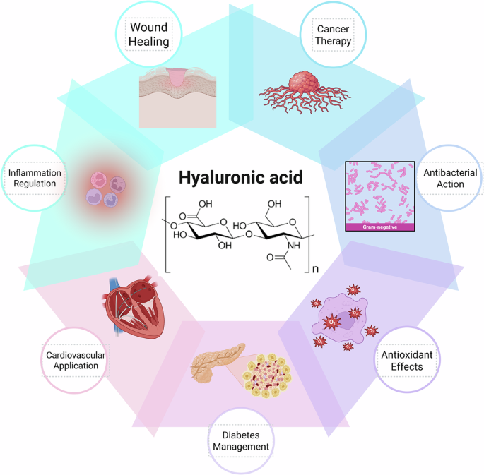 Advances in hyaluronic acid-based biomaterials: applications in cancer  therapy, wound healing, and disease management | Journal of Materials  Science: Materials in Medicine | Springer Nature Link