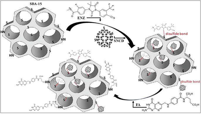 can i take folic acid and glutathione together Glutathione-responsive folic acid modified fluorescent SBA-15 nanocarrier  for simultaneous imaging and drug delivery in prostate cancer treatment |  Journal of Materials Science: Materials in Medicine