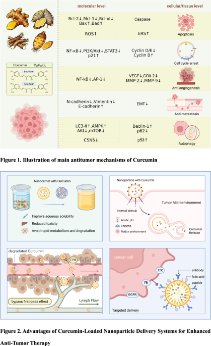 Smart nanoparticle delivery systems for curcumin: a targeted strategy to enhance anticancer efficacy and bioavailability | Journal of Materials Science: Materials in Medicine | Springer Nature Link Smart nanoparticle delivery systems for curcumin: a targeted strategy to enhance anticancer efficacy and bioavailability | Journal of Materials Science: Materials in Medicine | Springer Nature Link