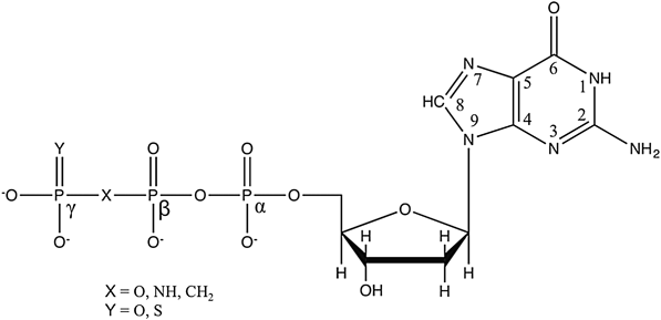 High pressure 31P NMR spectroscopy on guanine nucleotides | Journal of  Biomolecular NMR