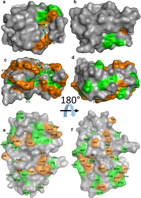 https://media.springernature.com/m685/springer-static/image/art%3A10.1007%2Fs10858-022-00402-3/MediaObjects/10858_2022_402_Fig6_HTML.png