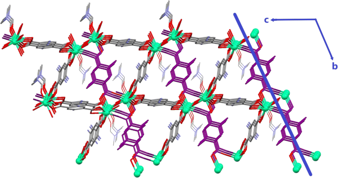 Molecular structures of HO2, H2O, and the three HO2‚‚‚ H2O dimers