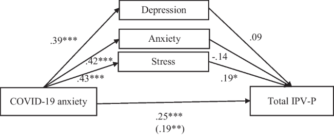 Frontiers  The association between intimate partner violence type