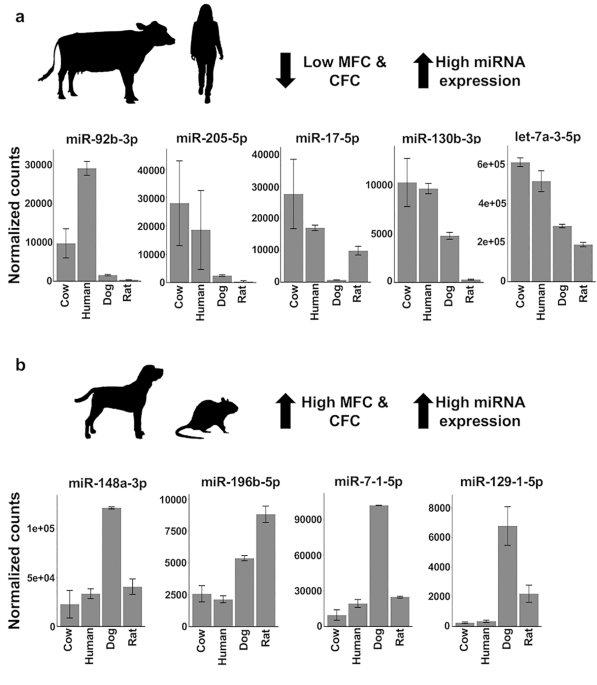 MiR-31 promotes mammary stem cell expansion and breast