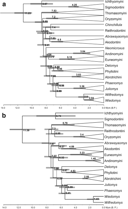 Unraveling Deep Branches of the Sigmodontinae Tree (Rodentia: Cricetidae)  in Eastern South America