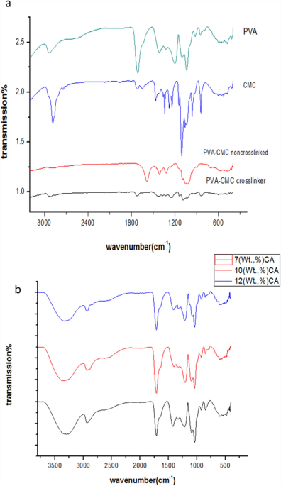 Molecular interaction of PVA and CMC.
