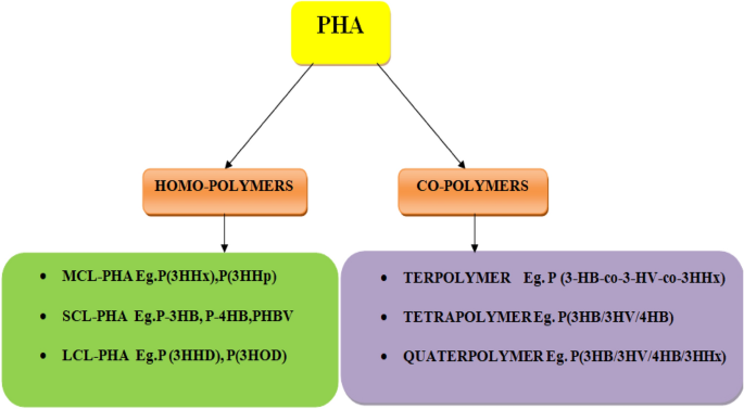 PHA 297: Laboratory Safety - ppt download