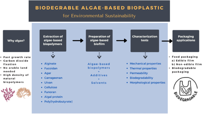 Current application of algae derivatives for bioplastic production: A  review - ScienceDirect