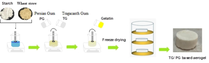 The schematic of gum tragacanth preparation from the Iranian plant to a