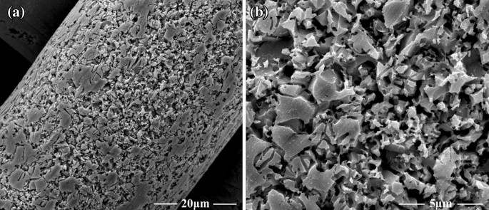 Scanning electron microscopy (SEM) images of stainless steel cloth