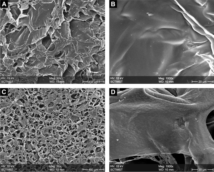 Hybrid Membranes Development Made by Chitosan and Calcium