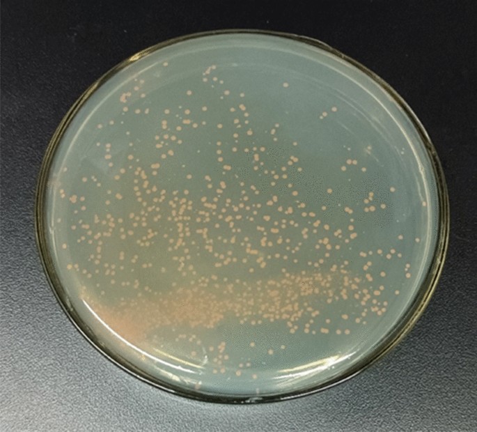 The reduction effect and mechanism of Deinococcus radiodurans