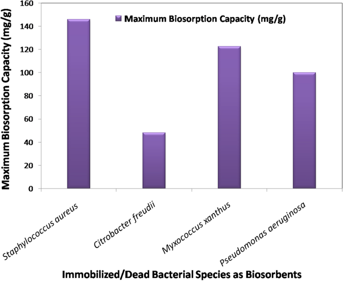 A New Uranium Bioremediation Approach using Radio-tolerant