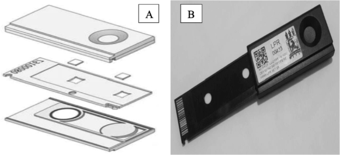 BeOSL in RnD dosimetry in indoor environments - Journal of Radioanalytical and Nuclear Chemistry