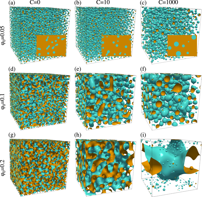 A phase-field study on polymerization-induced phase separation occasioned  by diffusion and capillary flow—a mechanism for the formation of porous  microstructures in membranes