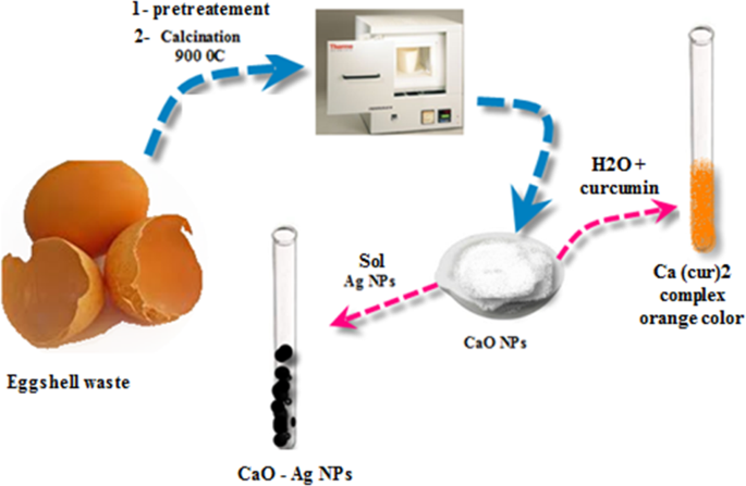 Water soluble calcium made from egg shells〡Third Insight Design and Nursery  & nursery