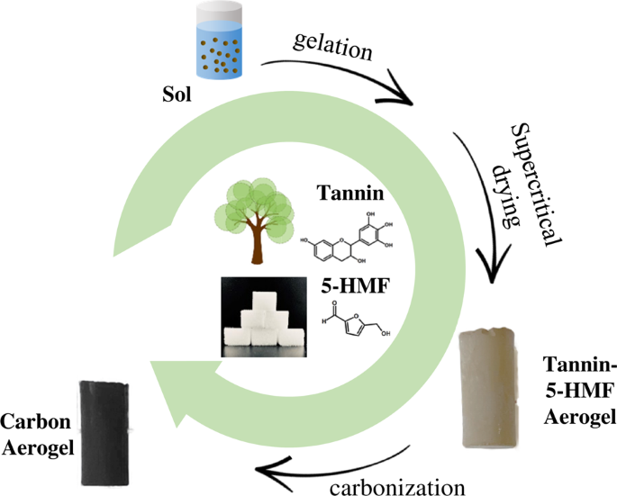 Renewable, Organic and Related Carbon Aerogel Monoliths from the