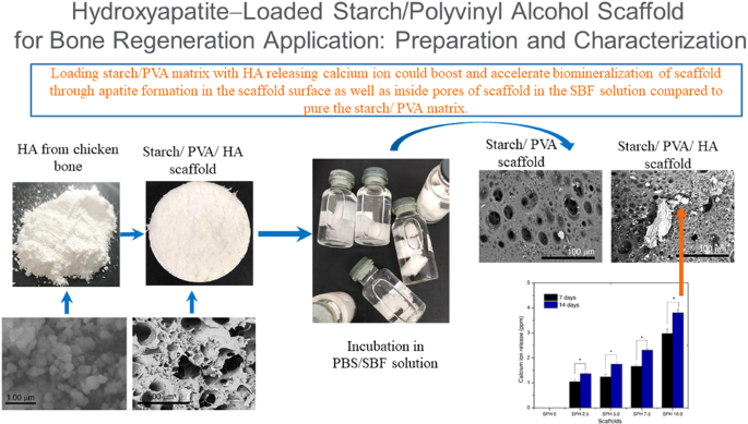 Progress in Hydroxyapatite–Starch Based Sustainable Biomaterials
