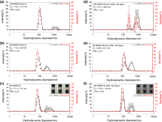 Stability of the YGYGY and HGHGH nanoparticles in water and in