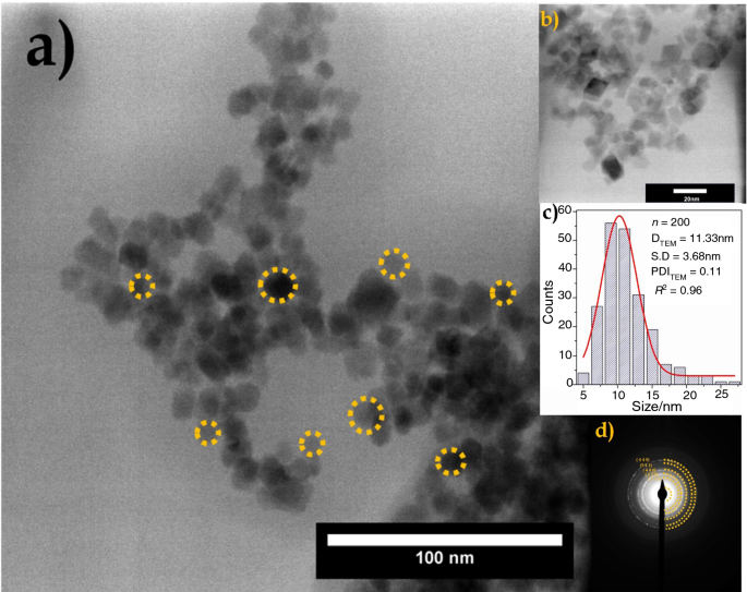 Stability of the YGYGY and HGHGH nanoparticles in water and in