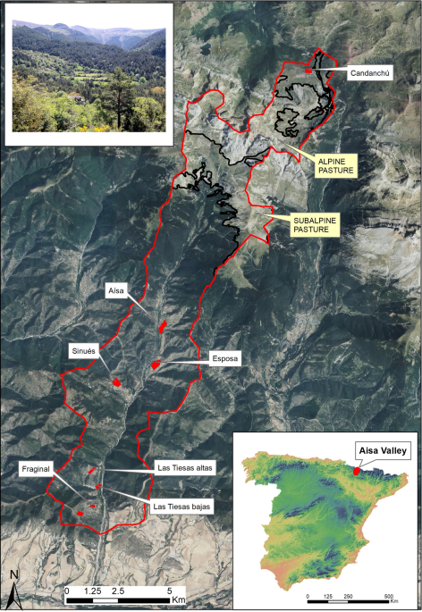 I maked my own Temerant Map (Spanish version) : r