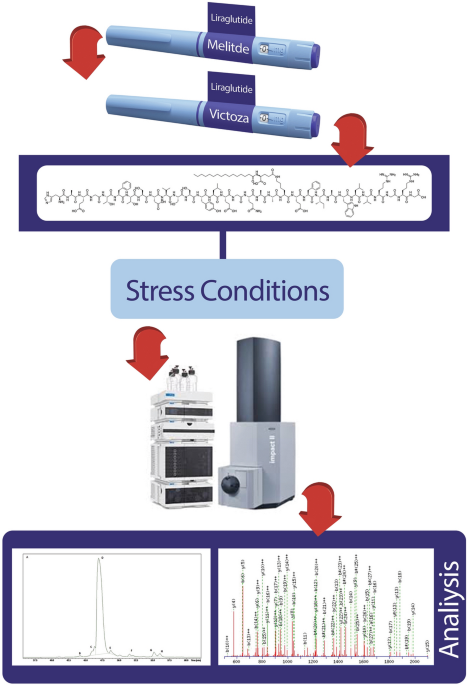 Forced Degradation Products of Liraglutide: A Comparative Study of  Similarity Between Originator and Analogue Version by Liquid  ChromatographyMass Spectrometry | International Journal of Peptide  Research and Therapeutics | Springer Nature Link