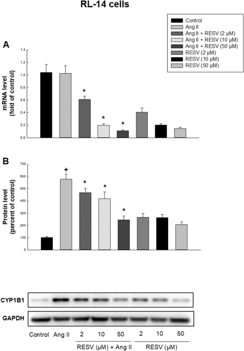 https://media.springernature.com/m685/springer-static/image/art%3A10.1007%2Fs11010-020-03777-9/MediaObjects/11010_2020_3777_Fig3_HTML.png