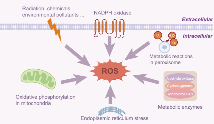 glutathione injections vs liposomal Liposomal Glutathione
