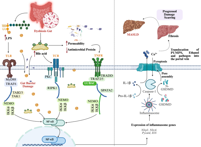 liposomal glutathione examine.com or systematic review or meta-analysis in Skin Aging and Tissue Regeneration: A of Molecular Mechanisms, Redox Modulation, and Biomedical Implications Human mitochondrial glutathione transferases: Kinetic