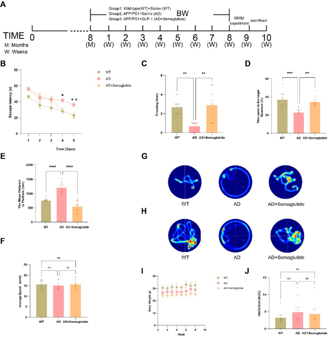 semaglutide elisa cross-reactivity exenatide alleviates ovarian ferroptosis in polycystic ovary syndrome and is associated with reduced GPX4 promoter hypermethylation | Journal of Molecular Histology Unlocking the Potential: Semaglutide's Impact