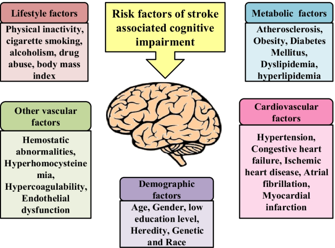 Cognitive impairments correlate with increased central nervous