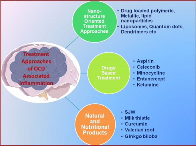 Targeting inflammatory signaling in obsessive compulsive disorder: a  promising approach | Metabolic Brain Disease | Springer Nature Link