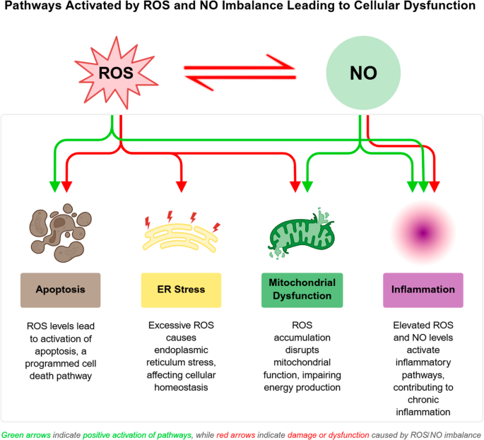 the glutathione revolution pdf Redox signaling in the heart and brain: the roles of nitric oxide and reactive oxygen species in disease and therapy | Metabolic Brain Disease