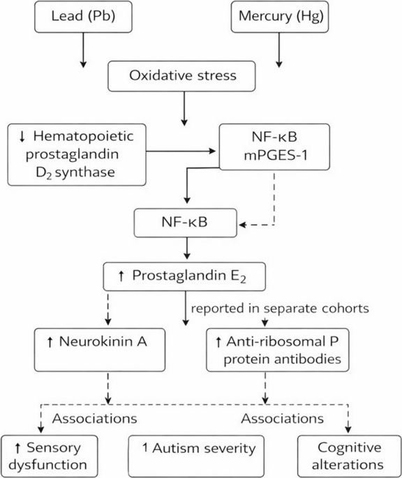 glycine and glutathione dr hyman Glutathione is a critical soldier in our line of defense. We even have  mechanisms that recycle and reuse it. But what happens when our toxic  burden becomes too high? Our genetic detoxification