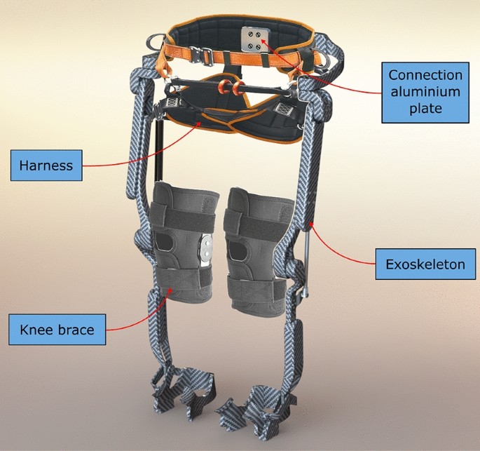 Model-based mechanical design of a passive lower-limb exoskeleton for  assisting workers in shotcrete projection | Meccanica