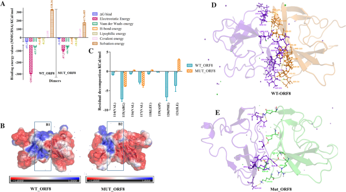 PDF) SARS-CoV-2 ORF3A interacts with the Clic-like chloride channel-1 (  CLCC1 ) and triggers an unfolded protein response