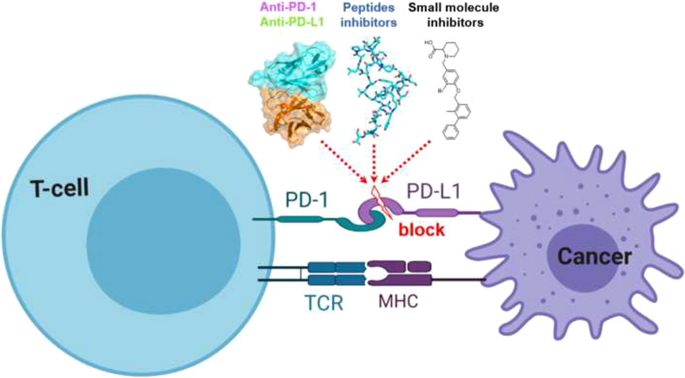 Programmed cell death 50 (and beyond)