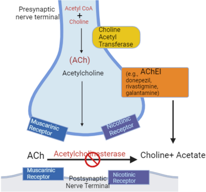 cjc 1295 no dac ipamorelin 5 5mg cjc-1295 no dac + ipamorelin blend CJC No DAC + Ipamorelin
